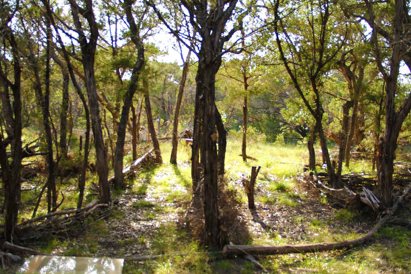 Austin Texas Landscaping Design Farm & Ranch